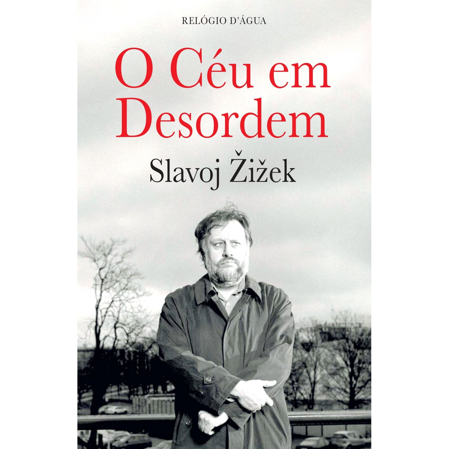 O Céu Em Desordem de Slavoj IEk