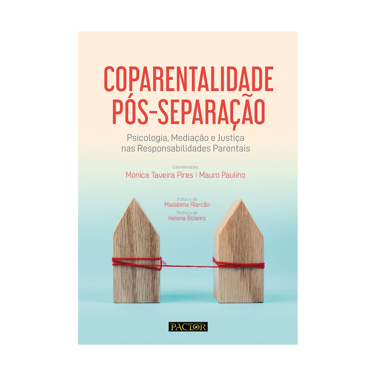 Coparentalidade Pós-Separação de  Mónica Taveira Pires E Mauro Paulino