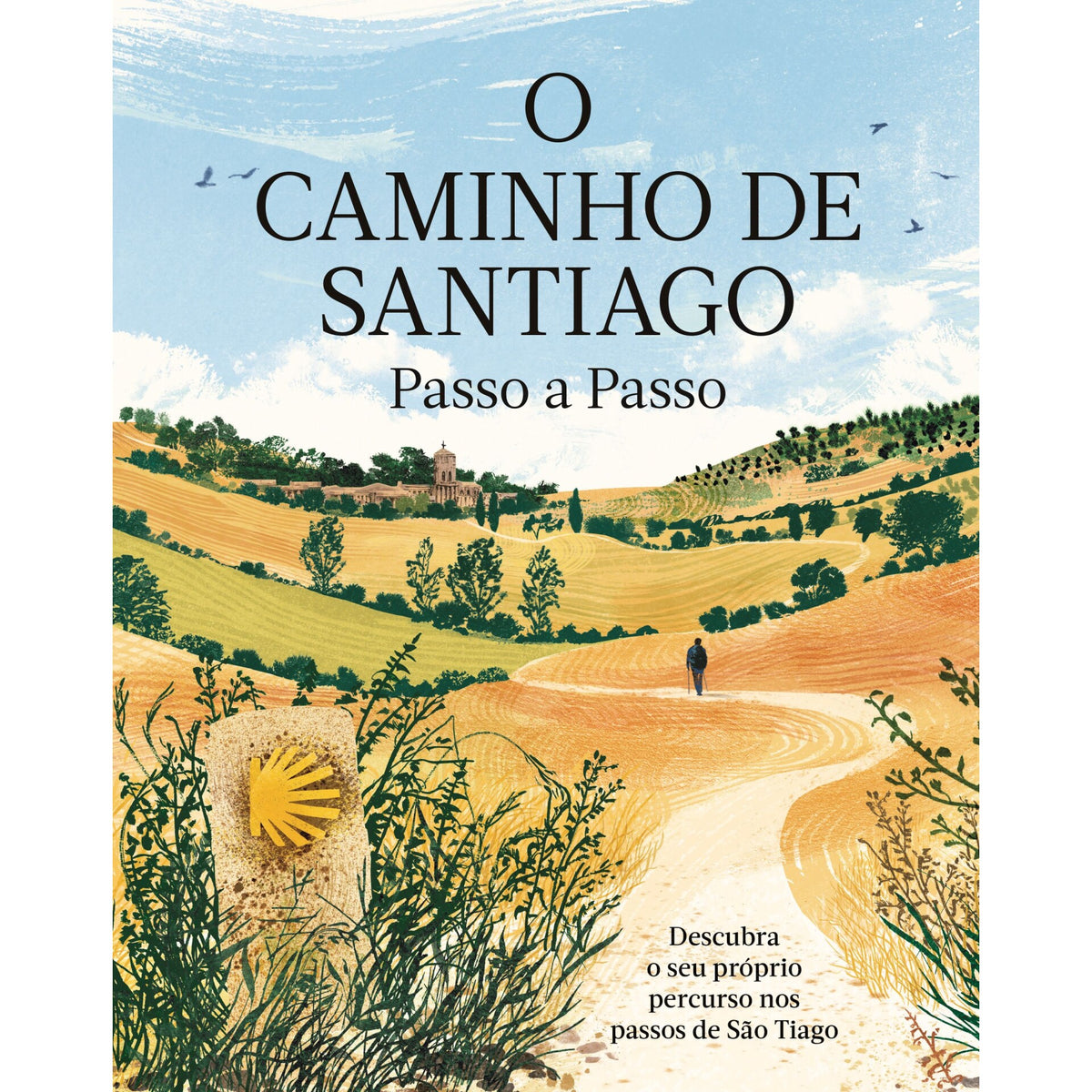 O Caminho De Santiago Passo A Passo de Livro