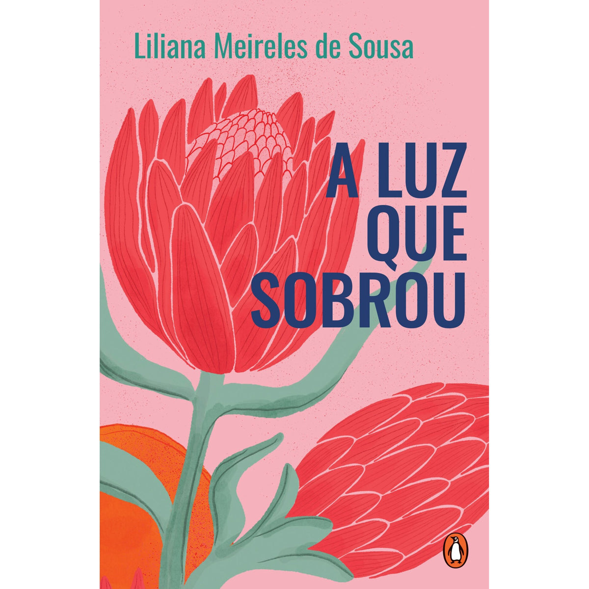 A Luz Que Sobrou de Liliana Meireles De Sousa