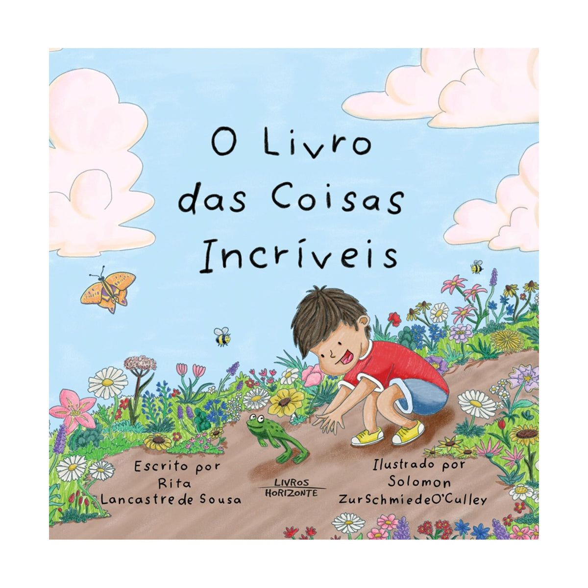 O Livro Das Coisas Incríveis de Rita Lancastre De Sousa