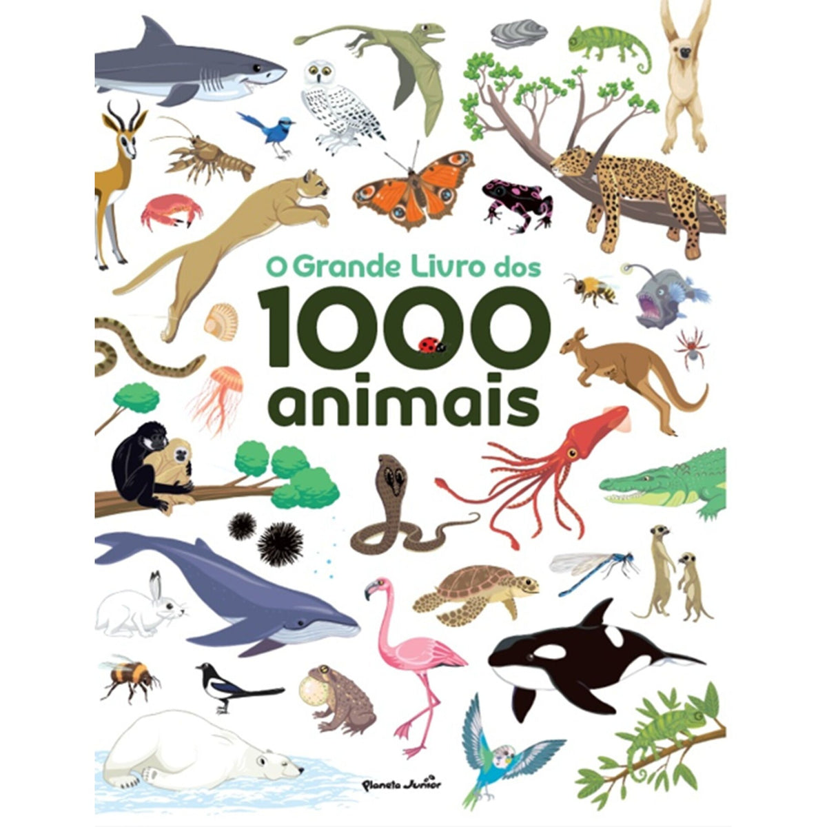 O Grande Livro Dos 1000 Animai de Agnes Besson