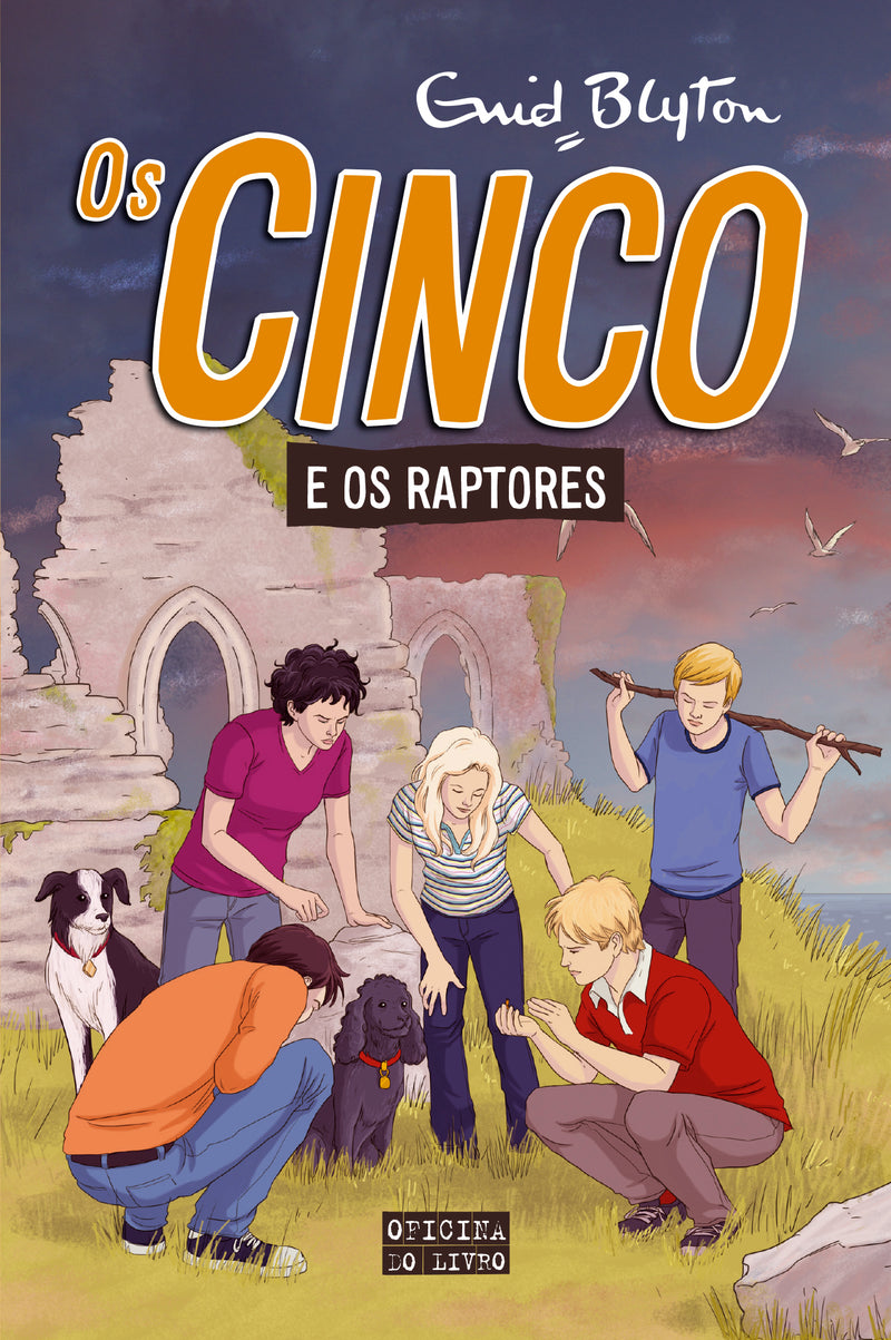 Os Cinco Nº 14 - os Cinco e os Raptores de Enid Blyton