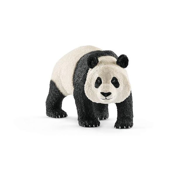 Panda Gigante Macho