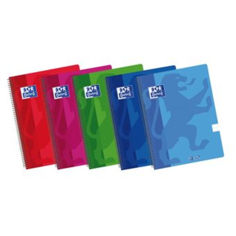Caderno Write&Erase Plástico A4 Pautado (várias cores)