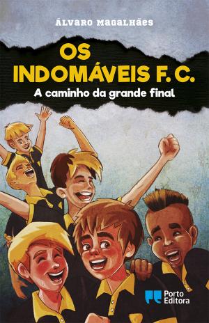 Os Indomáveis F. C. - A Caminho da Grande Final de Álvaro Magalhães - Livro 14