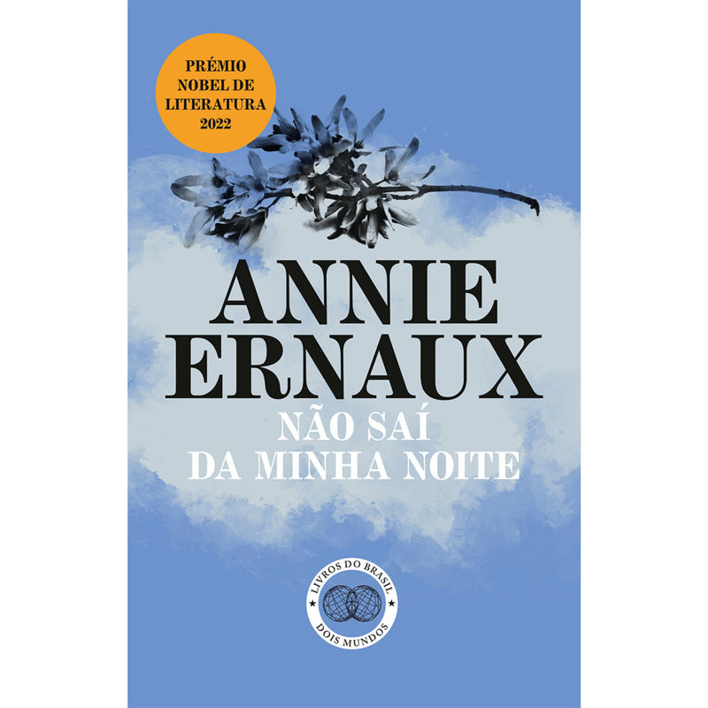 Não Saí da Minha Noite de Annie Ernaux