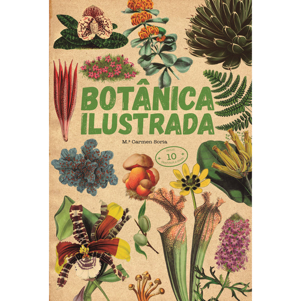 Botânica Ilustrada de M.ª Carmen Soria